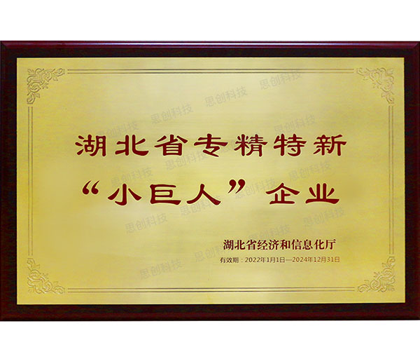 湖北省专精特新“小巨人”企业